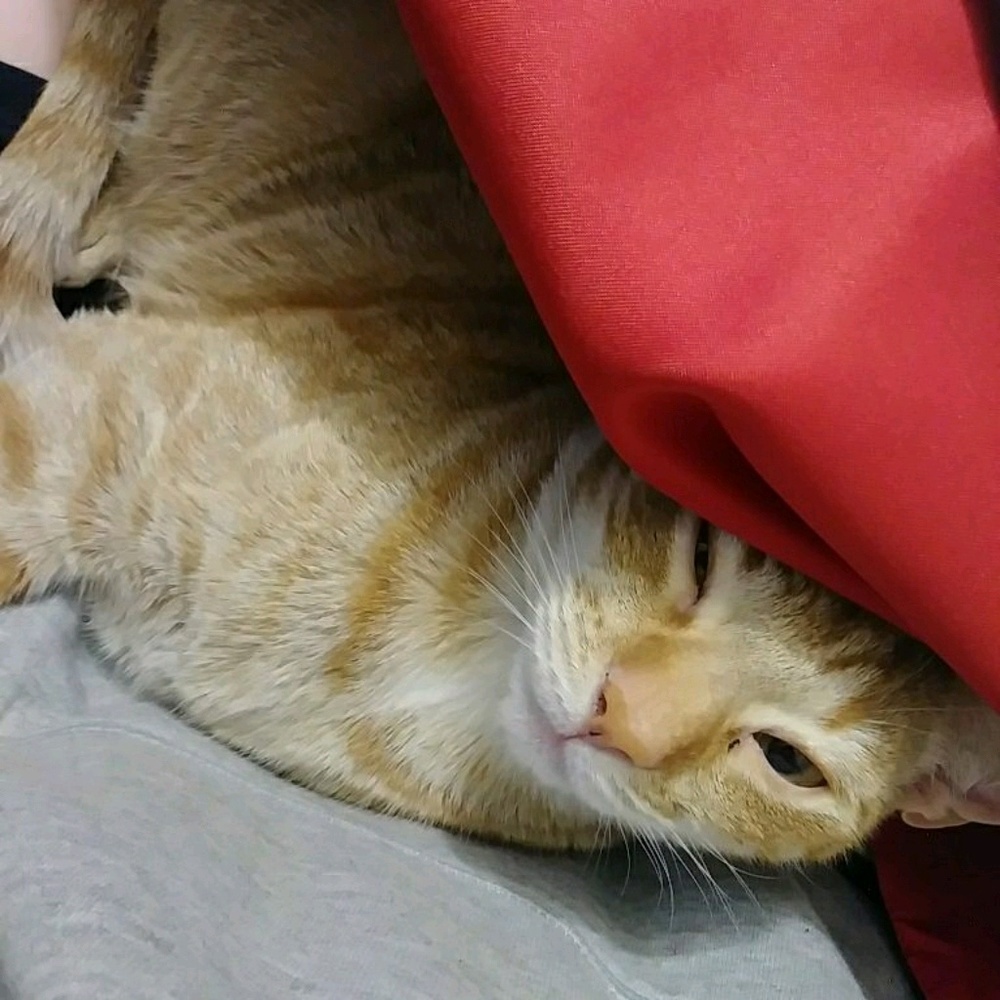 Meet your Posher, Aiyana